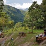 coffee shop alam di Bandung